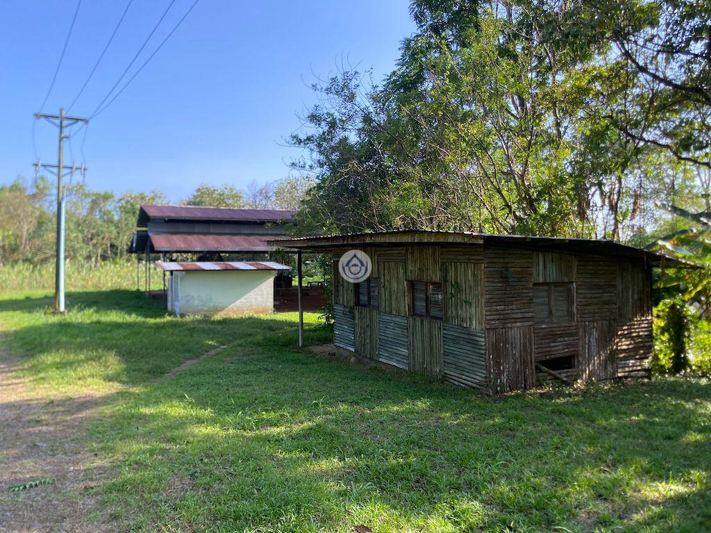 2.8 HA Finca con Galeras de Aserrado, ubicación cerca a Paso Canoas