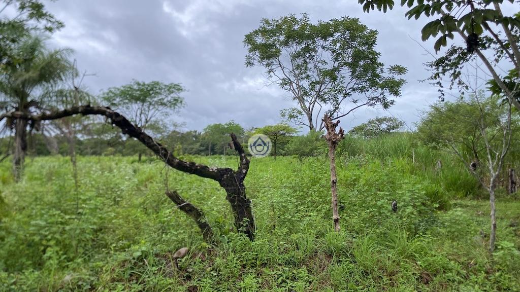 Compra 1.5 Hectáreas para desarrollo en Bijagual, David, Chiriquí
