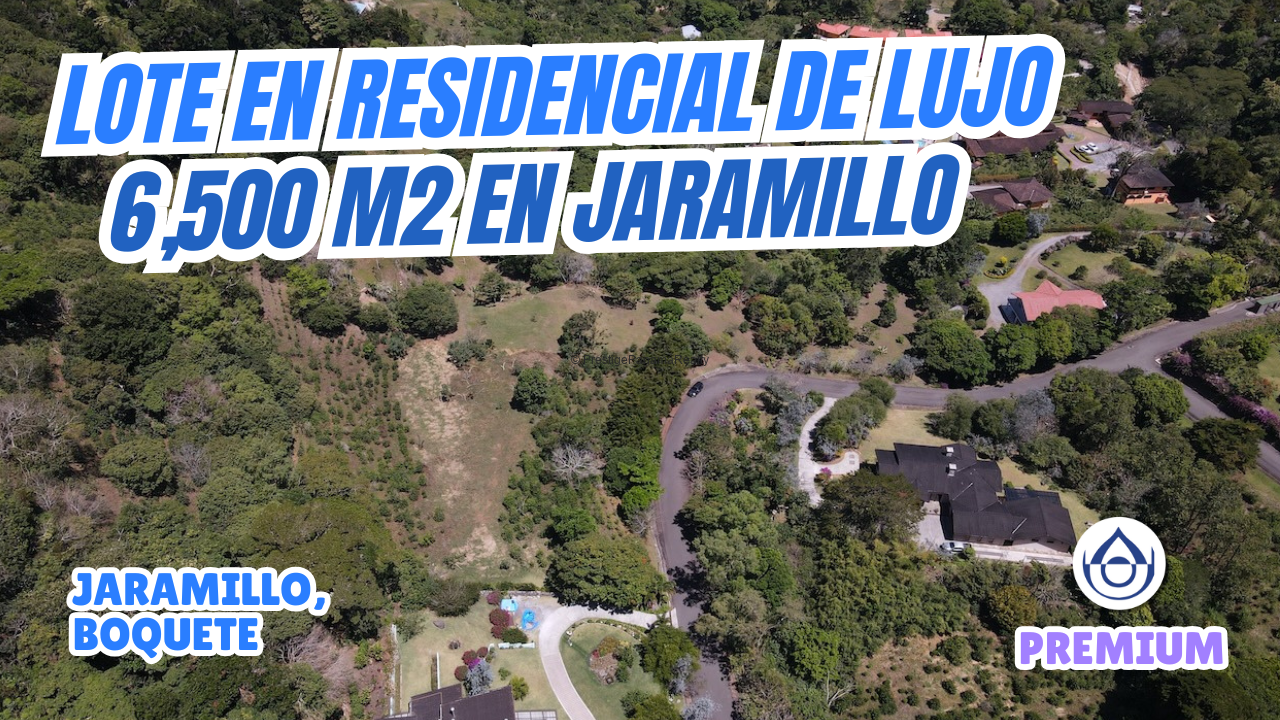 imagen del video
