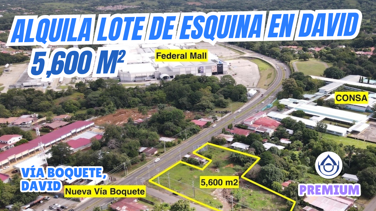 imagen del video