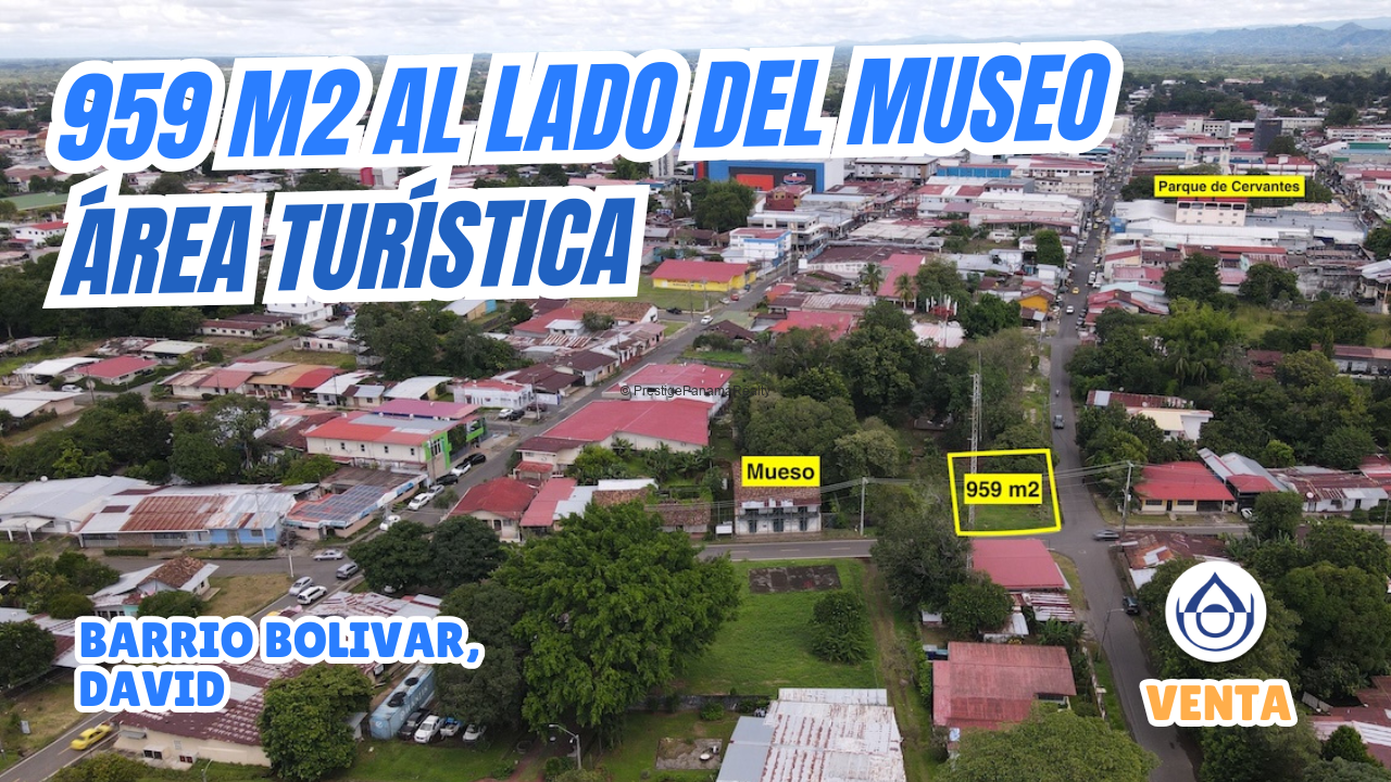 imagen del video