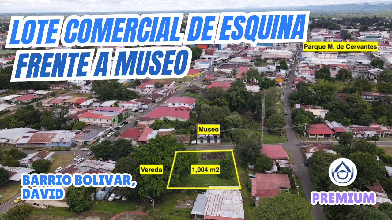 imagen del video