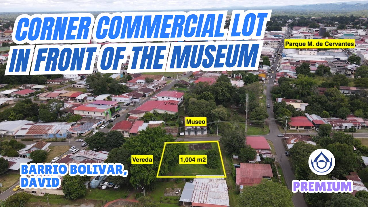 video image