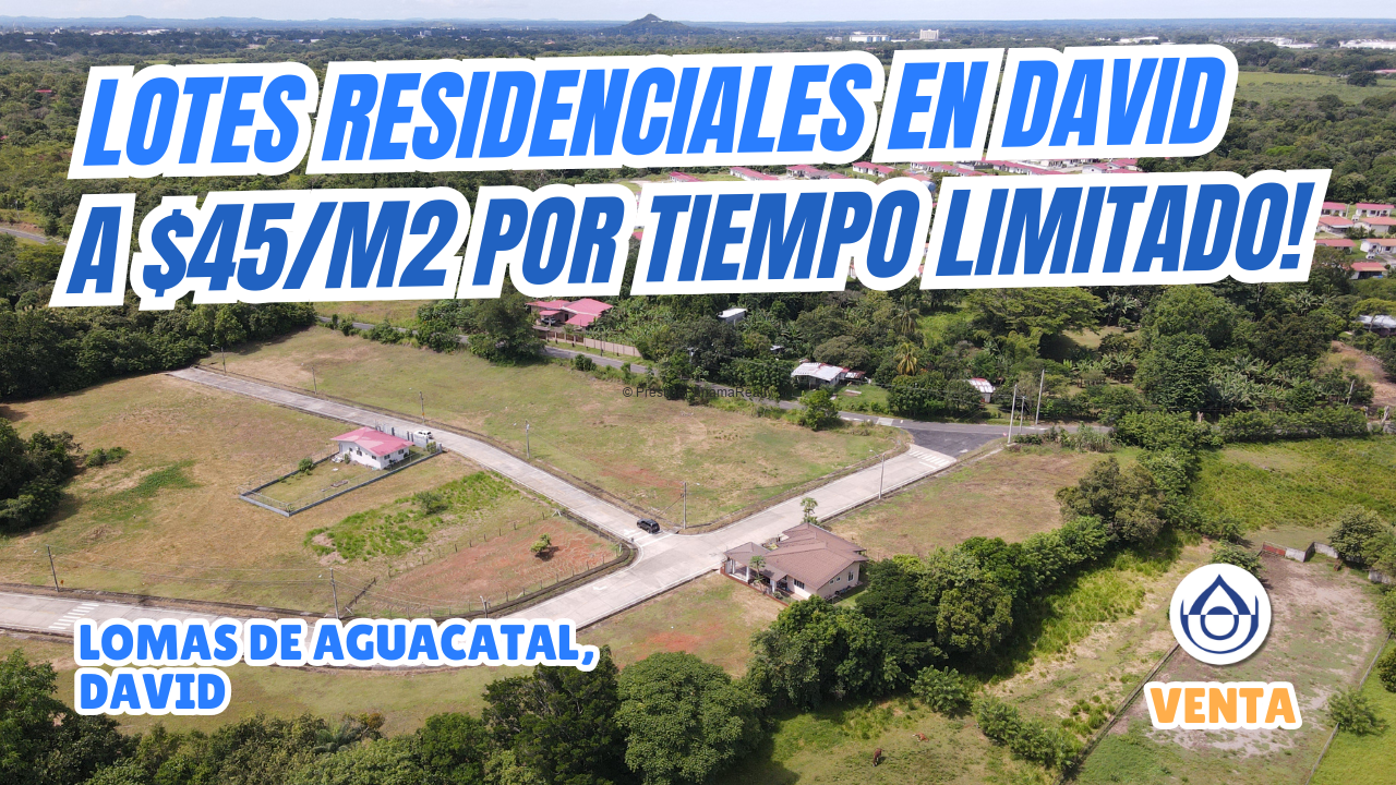imagen del video
