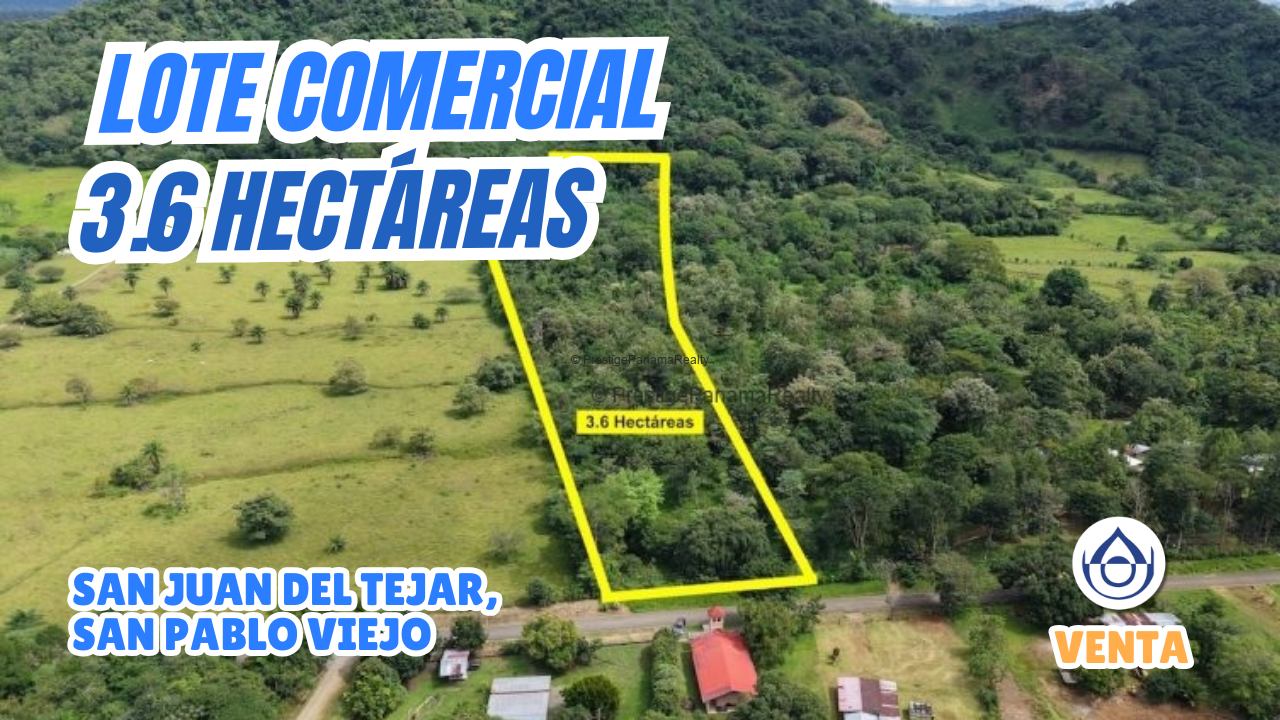 imagen del video