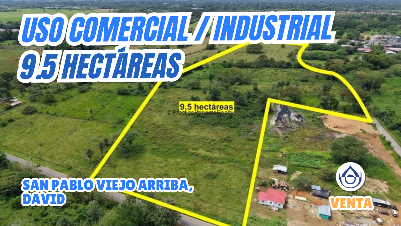 imagen del video