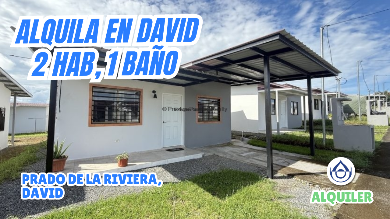 imagen del video