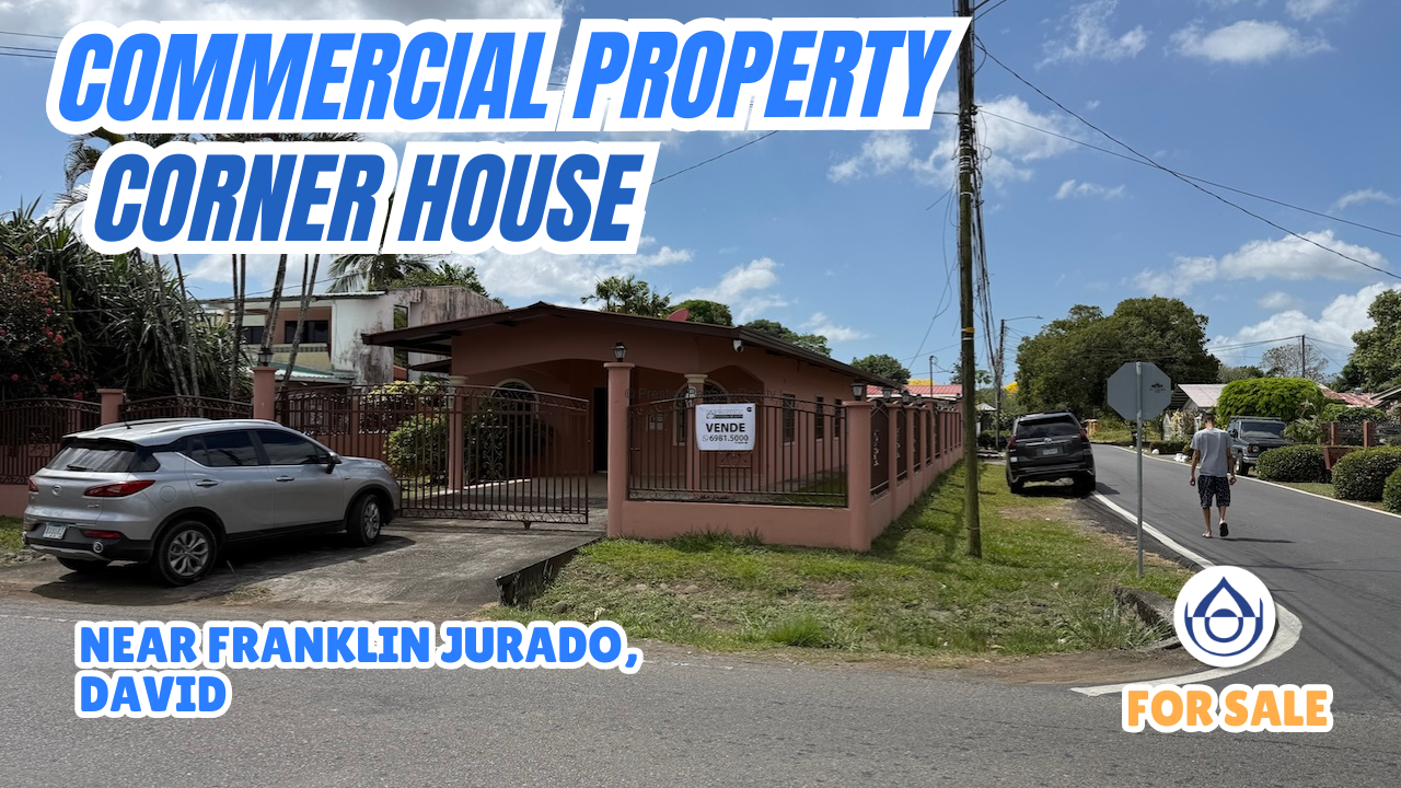 video image