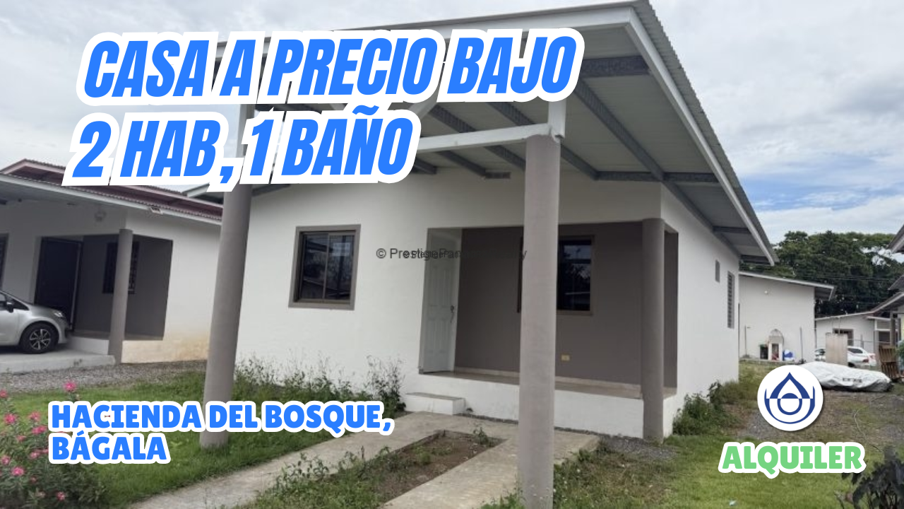 imagen del video