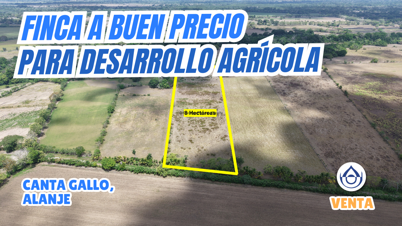 imagen del video