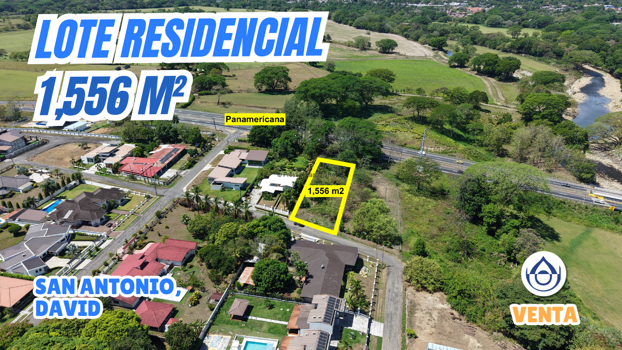 imagen del video