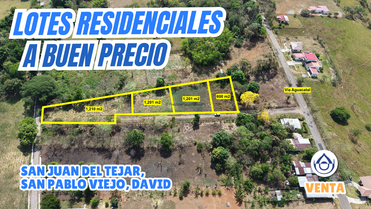 imagen del video