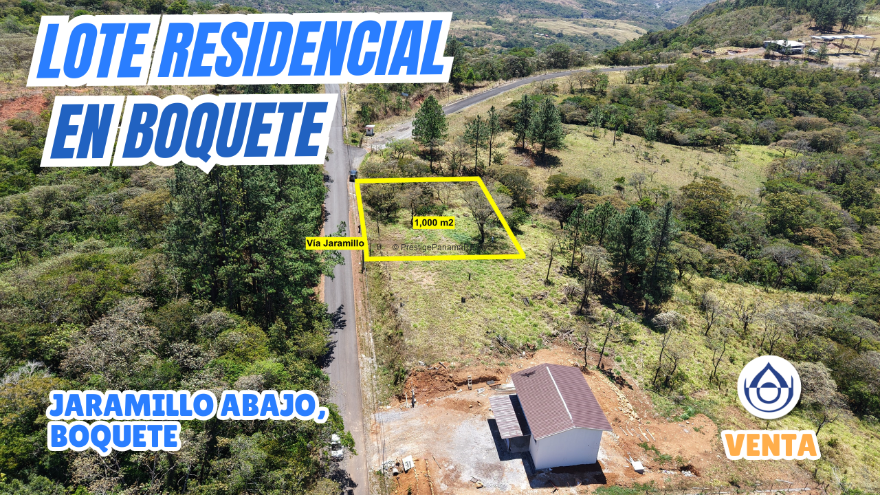 imagen del video