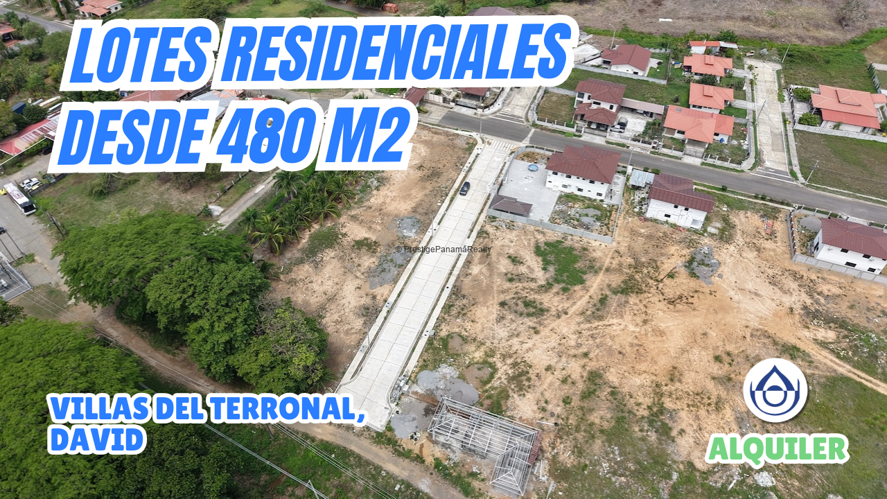 imagen del video