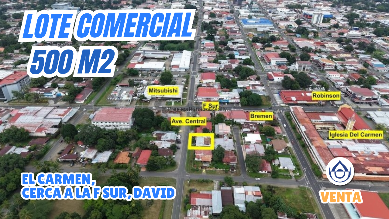 imagen del video