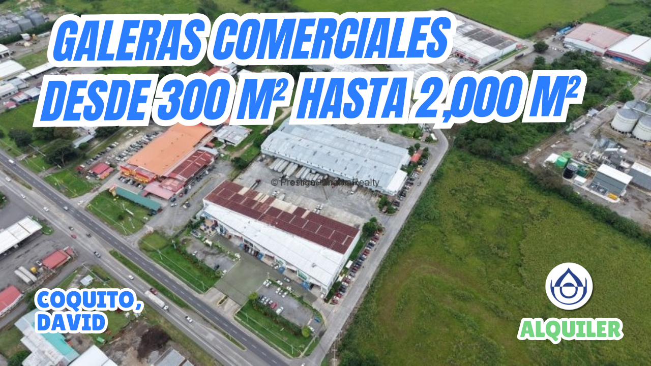 imagen del video
