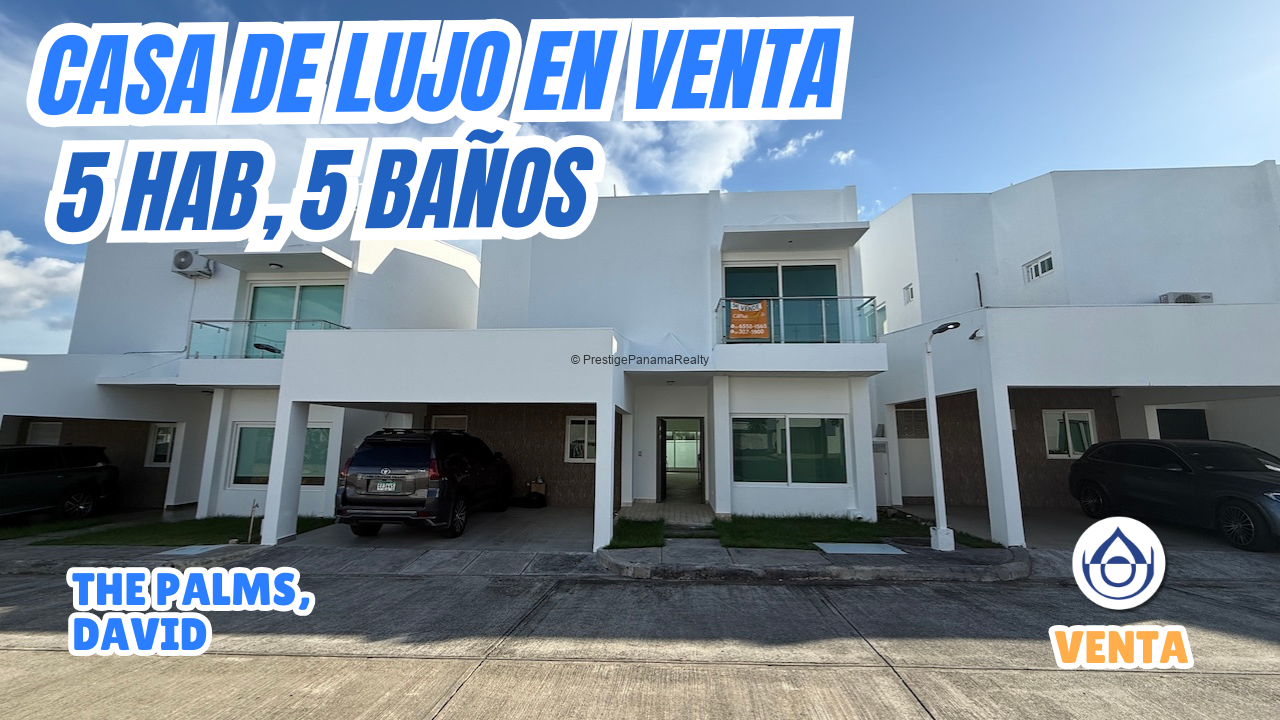 imagen del video