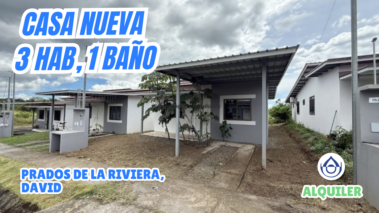 imagen del video