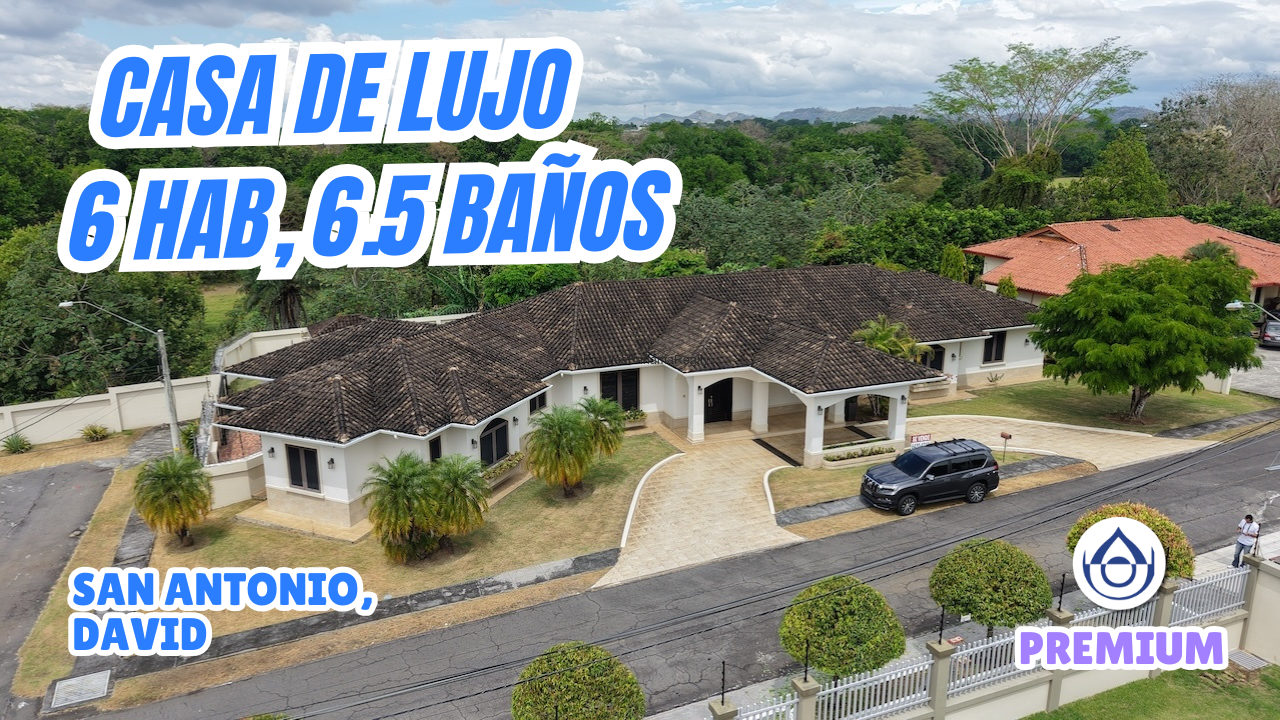 imagen del video
