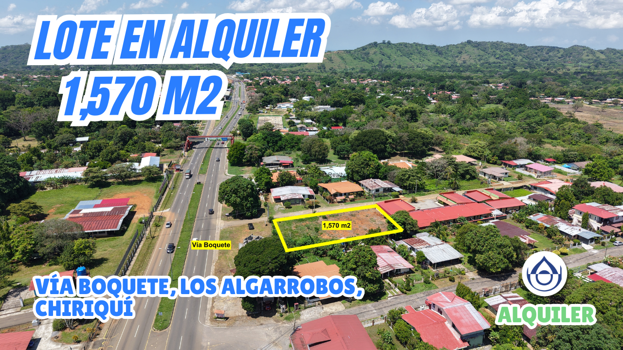 imagen del video