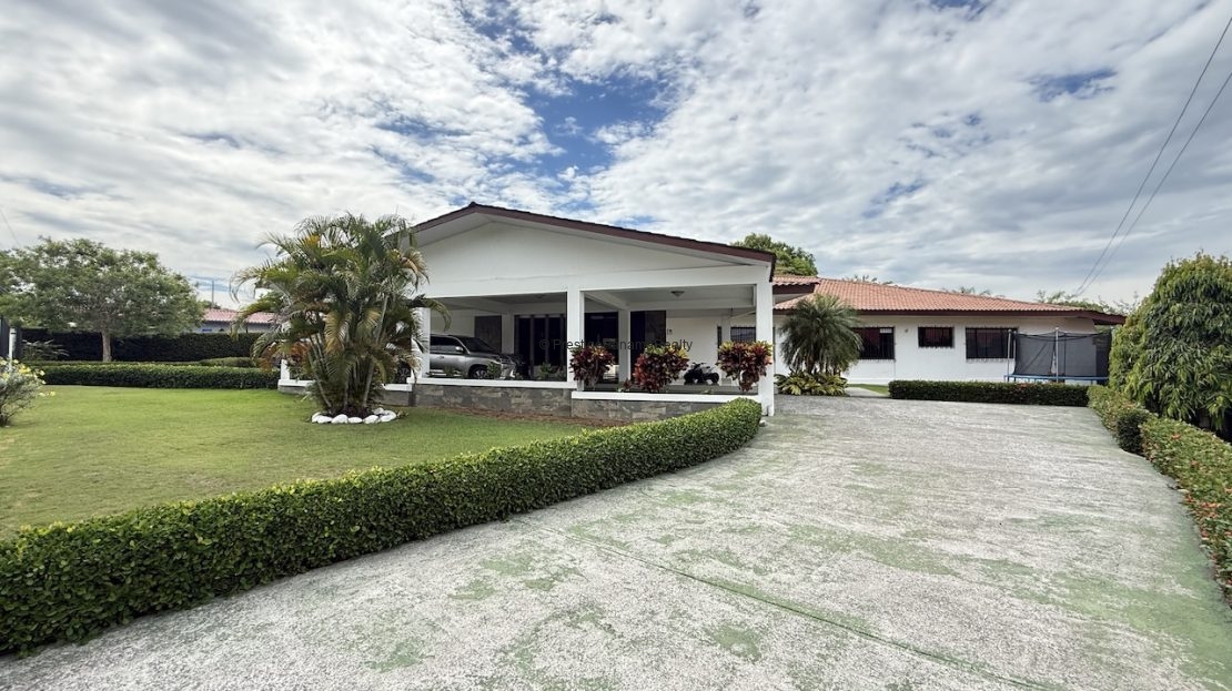 video image